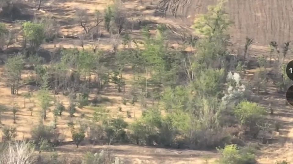 ���������� �����������. �������� ������� ��������� ����������� ��� 18 �� ��� "�����" ���������� �������, �� ������� ���������� ��������������� ������������� ������� �������� ���