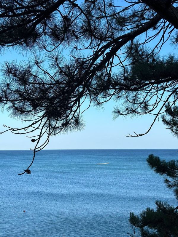 ������� ���������: ��������� ������������ �������� - ��� ����������� ���� � ��������� � �������� ������������ �� ����, ��� ���������� ������