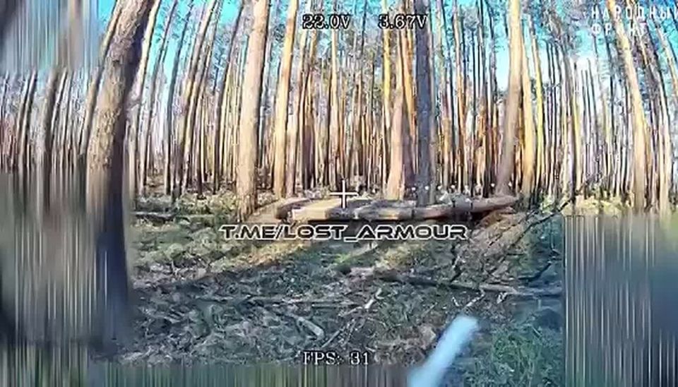 ���� �� �������: ������ ����� �� ���� ���������� ����, �� ����� ����������� �� ������ ������