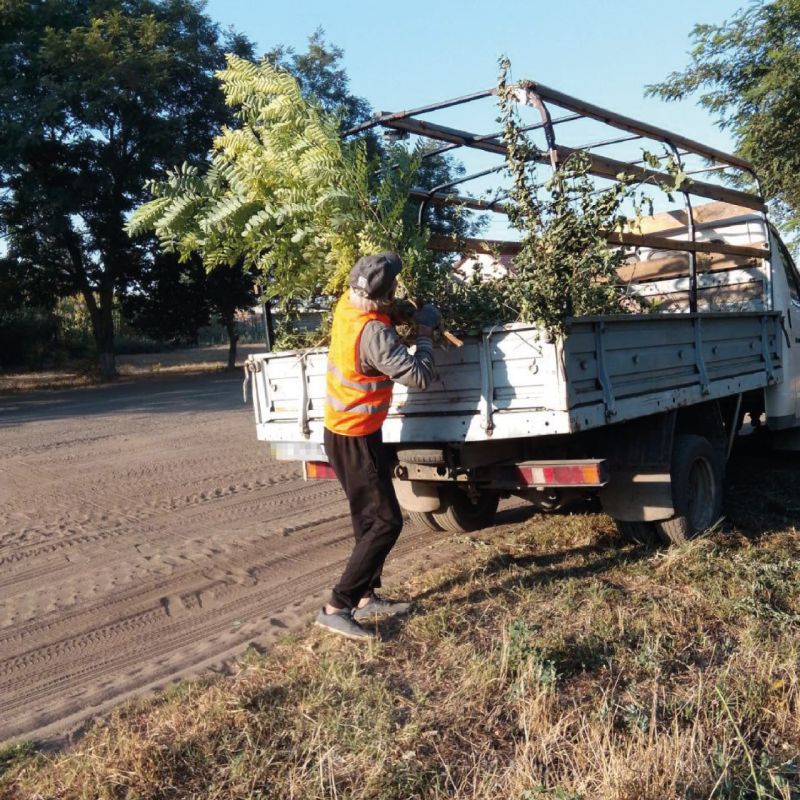 �������� ����� ������ � ����� ������������� ��������� � ������� #����������_����_���