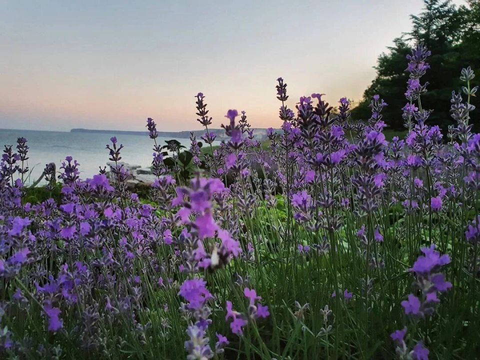 ��� ���� ������� ��������� , ������ �������� � ������ ���� . ������ ���� ������� , �� ����� , � ��� �������� ���� ���� ! ��������� ����� ����