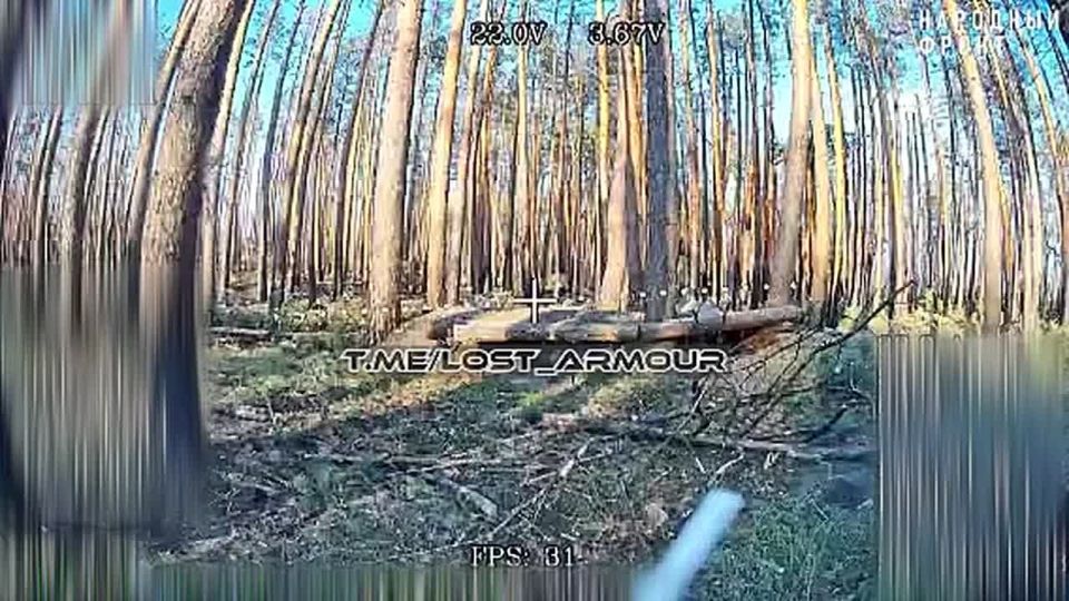 ����� ������ ������ ������ ����, �� ������ ��� �����������