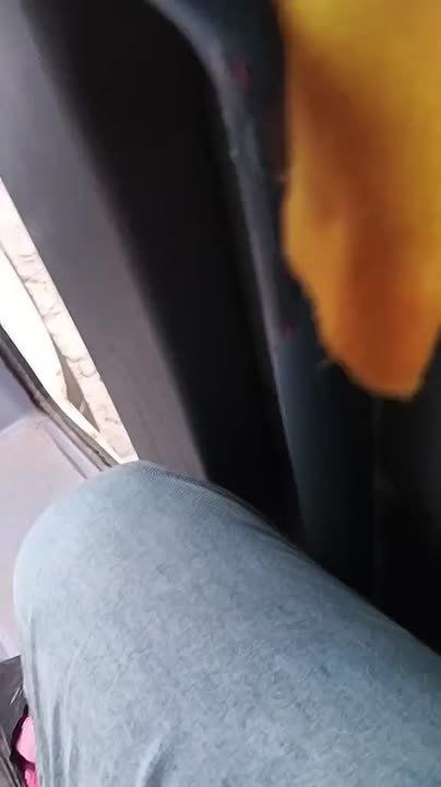 ���� �� �������: ��������� ������� �����, ����������