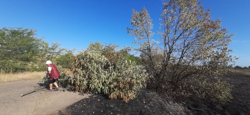 ��������� ������������ ������� ������������ ������ ������������� ����������� ������ � ���� ����������