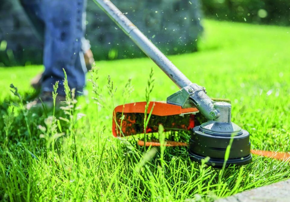 ����������� ���������� ��������� �������� � ������������� ������ � ���������������