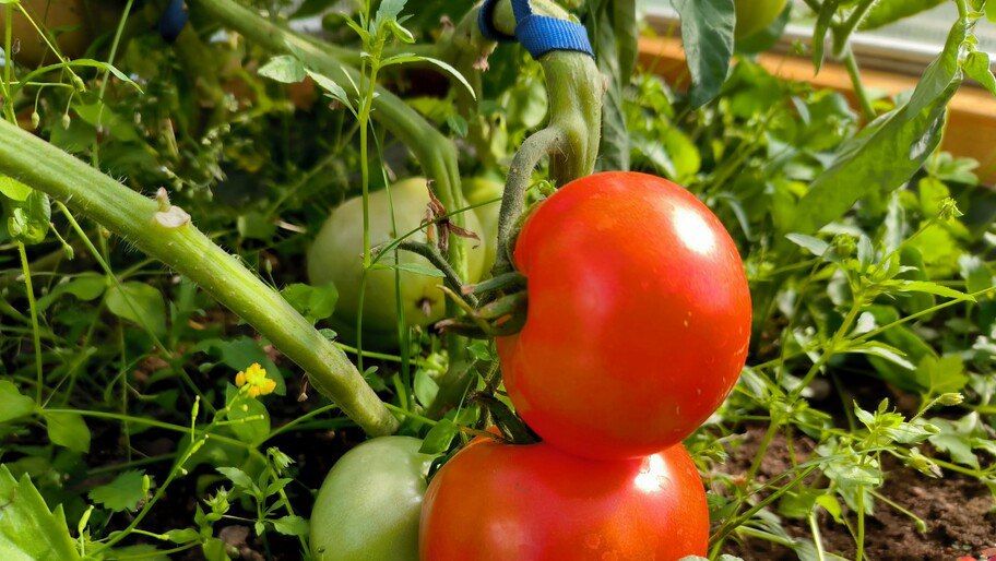 ������ ������� � ���������� ������� �������� ��-�� ����, �� ������� ������� �������