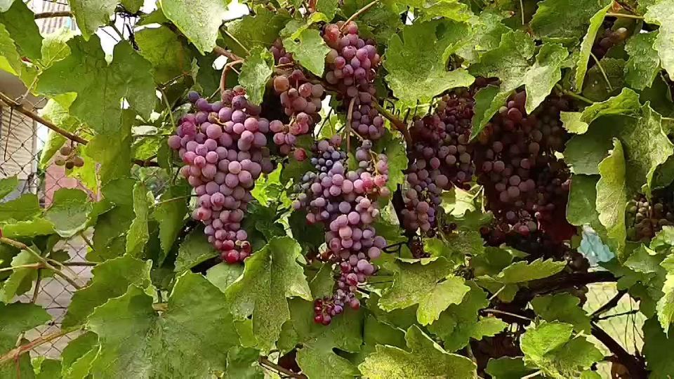 ������� ����������� ���� ����!