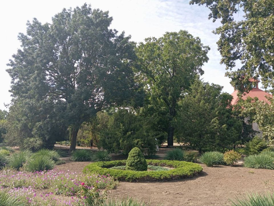 � ��������� ���� ���� ��������-���� ���������� ���� ����� �� 16 ��� �������� ������� ���������