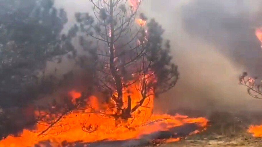 ������: ��� ���� ���� � ���������� �������, ����� �������� �������