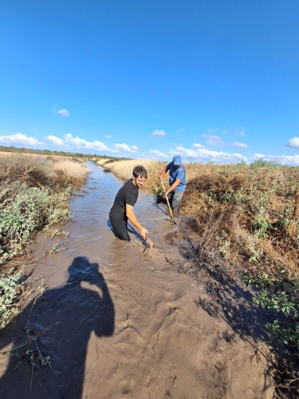 ����������� � ��������: ��������� ������������ ������ ������������ ��������� �������