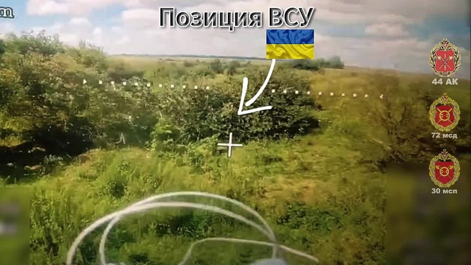 ��� ���� ��������� ������� � ������