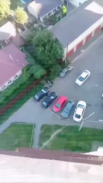 ���� �� �������: ����. ���� ���. ����� ��������� ���������� ������������ ������ ����������, �������� � ����, ��������� �������� ������������ � ����� ������� ������� 91 ����