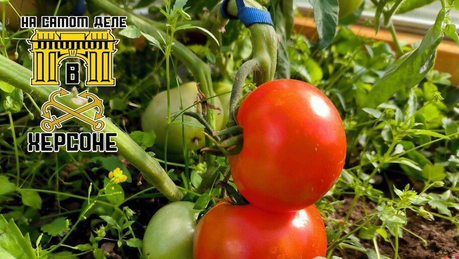 ���� ������� ����������� ������ ������� � ���������� �������: 35-40 ���� � ������� ������ 45-50 ���� � ������� ����