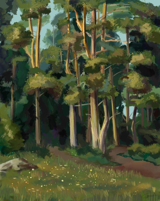 �������� �������� � ����� ��������� ��������-��һ