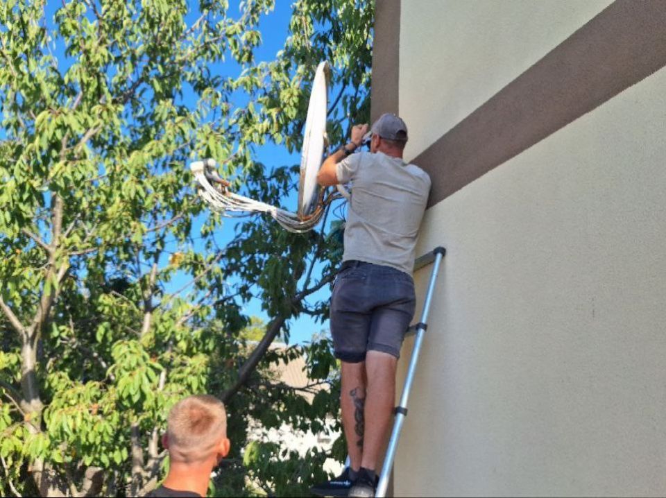 ������������ ����������� � ������ ���: � ������ ������ �������������� ������������ ��������� �� ��������� �������� ���