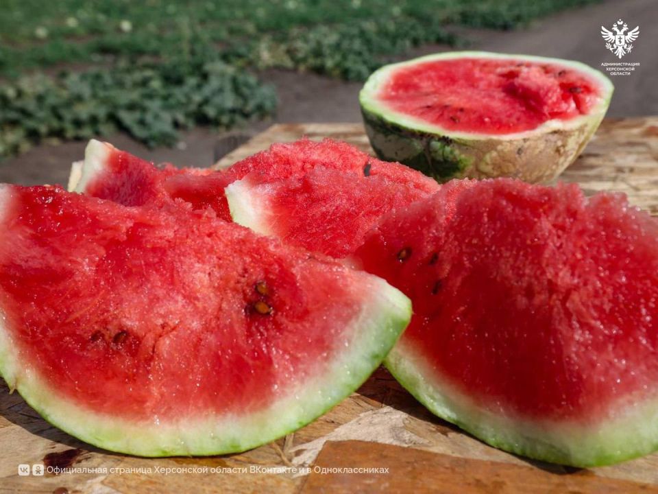 � ���������� ������� ������������ ���� ������ �������