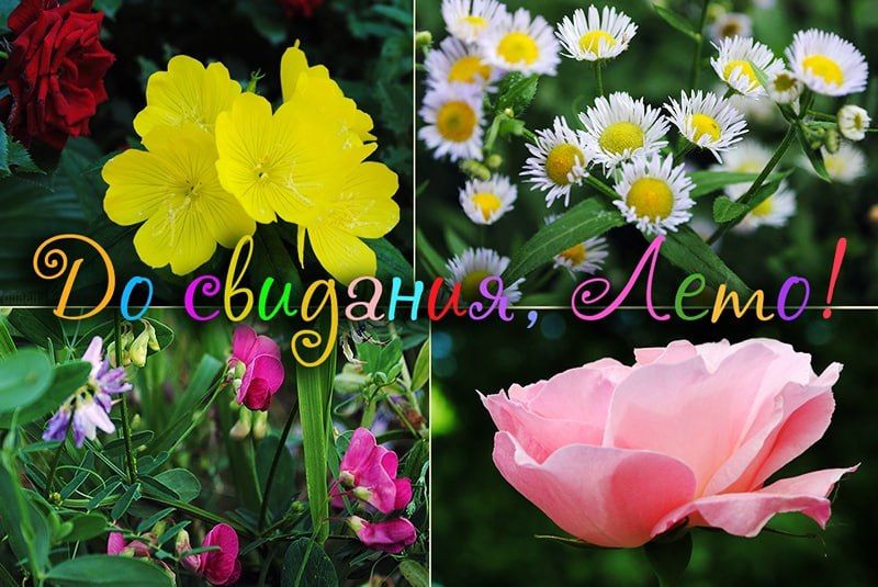 ������, ��� ������ ����� ������ �� �������� ������ ���� ���� �� ���������-�����, �������� ���� ������ ������, � �� ����� �� ���� ����� �������� � ��������