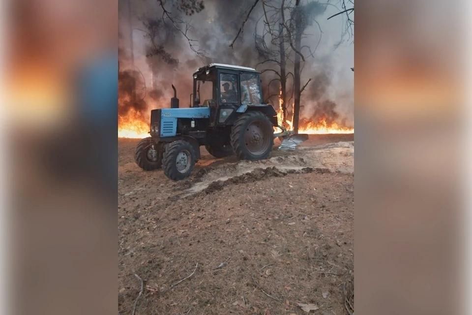 � ���������� ���������� ������� �������� ��������� ���� ����� ������ �����