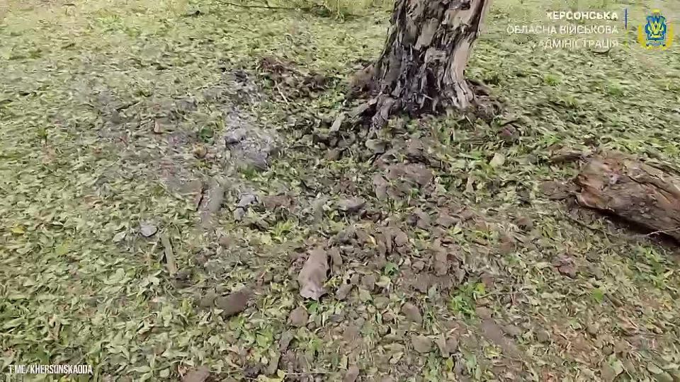 А на том берегу.... Правобережье Херсонщины: Оперативная информация с 06:00 24.08.2025 по 06:00 25.08.2025 — ХОВА За прошедшие сутки под ударами дронов и артобстрелами находились: Александровка, Антоновка, Белозерка, ...