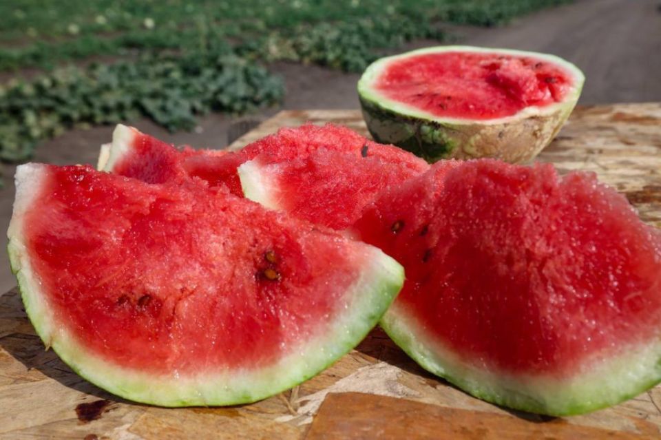 � ���������� ������� ������������ ���� ������ �������