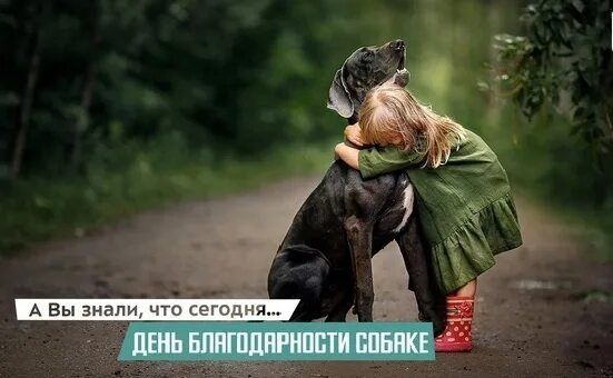 26 ������� - ���� ������������� ������ ��� ���� ��������������� ������