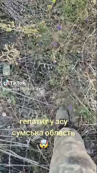 � ���� ���������������� ������� � ���, ��� �������� ��������� "�����" ���, ��������� �� ����� ����������� � ������� ������������� �������������, ������� � ������� �������