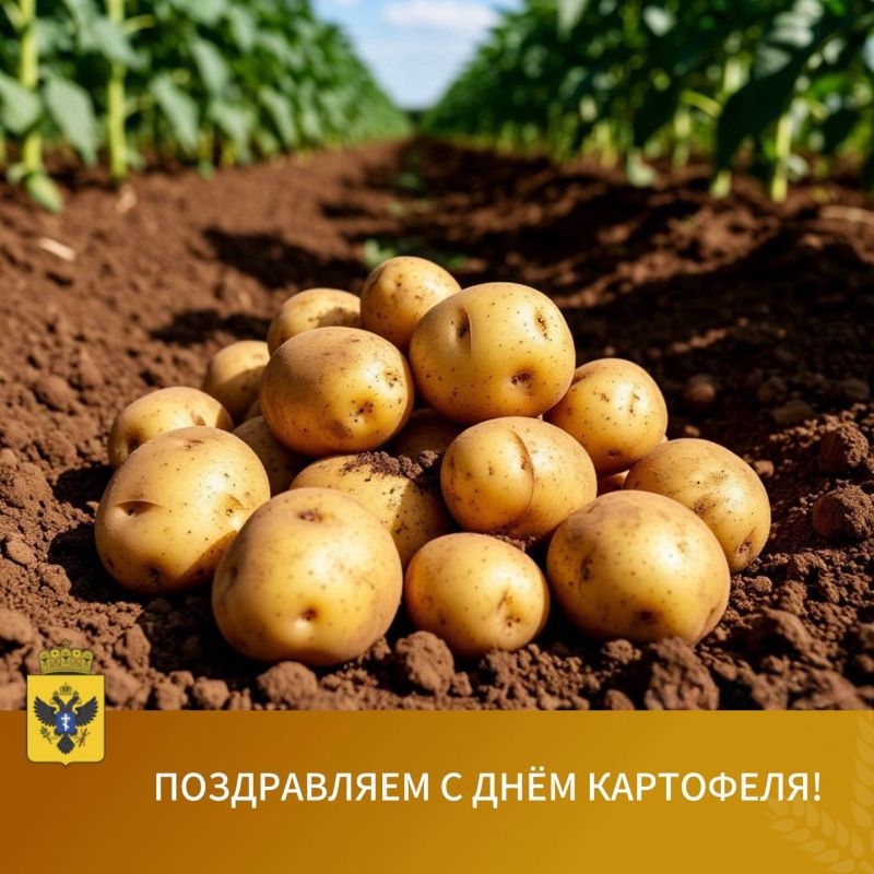  !.     ,         !     ,       