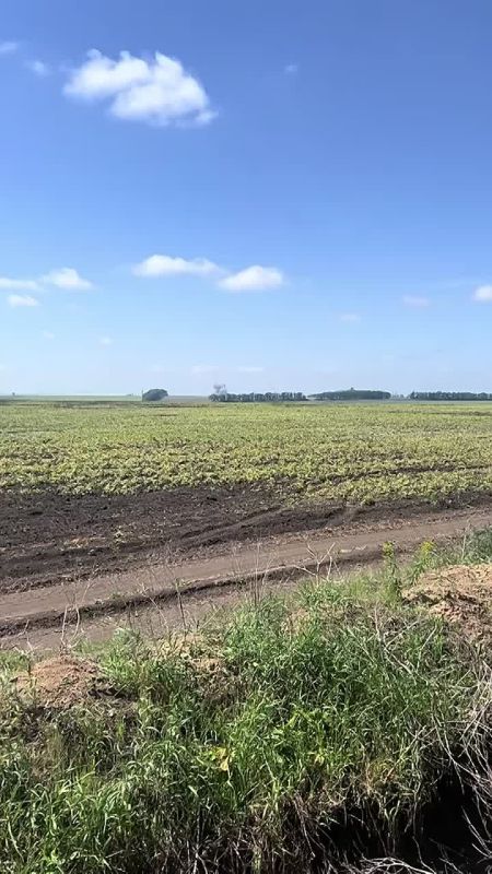 "���������" ������ �� ����-�������� �����������