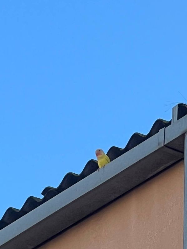 ������, ����������.. ���� ���������� � ��������� ���� � ���� �� ������� ��������� �����