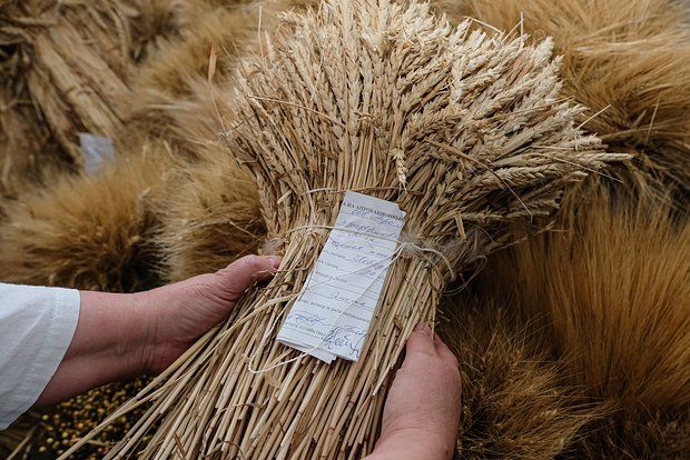 ����� ����� ��������� � ��������� ������� �������� ����������� ���������