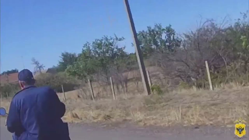 � ���������� ������ �������� �������� ���������������, ������������ � ��������� ������������ ���������