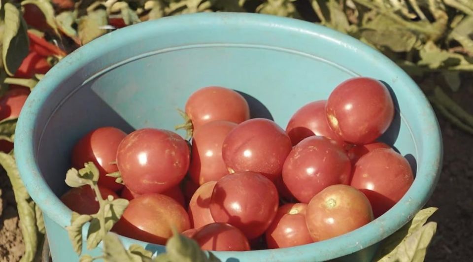 � ���������� ������� �������� ������ �������