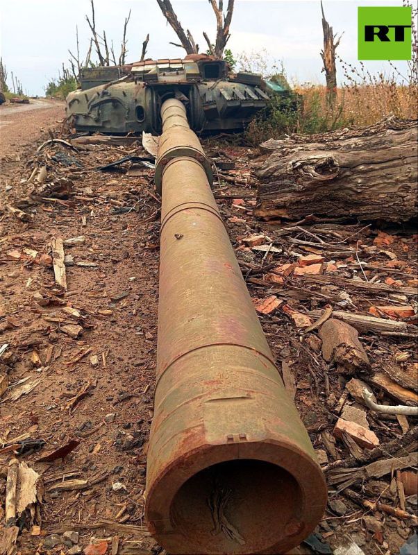   .  , , ,   @vozhak_Z   ,         