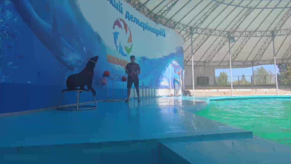 Александр Дудка: Скадовский дельфинарий: жизнь продолжается