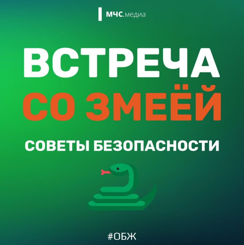 ��� ������, ���� �������� ����?