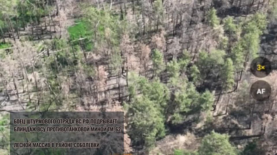 ������ �������� ��� � ������ ������� ���� ���������