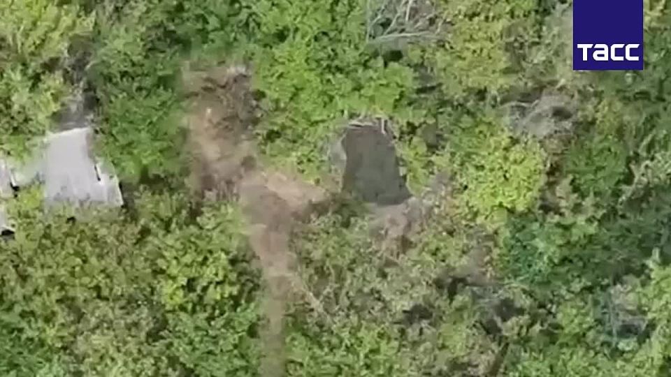 ������� ���� � ���������� ����� ����������� ����� � ��� ���������� ����� ���������� ���� � ����������������� ���