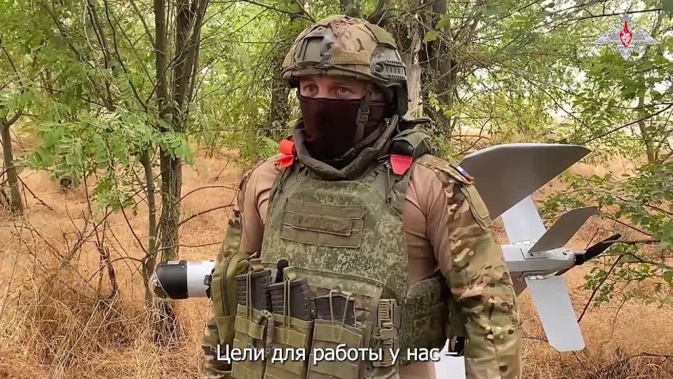 ���������� ������: �� ����� ��������� ����� ������� ������ ������ � ���������� ������� �������� ����������������� ����� �ZALA� ������ ������������ ������� � ����� ���� ��� ����� ����������