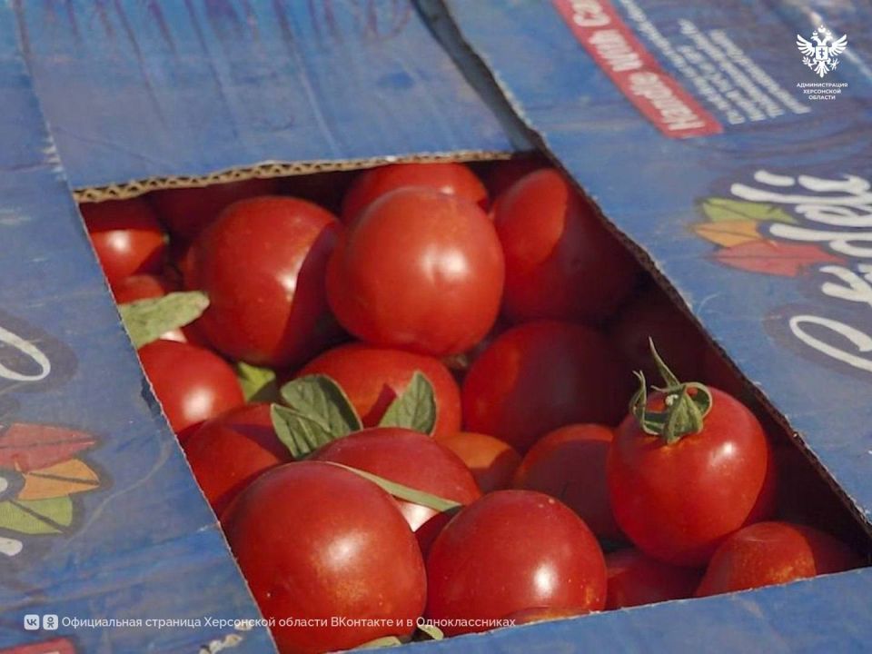 ������� ���������� ������� ��������� ������� ����� 50 ����� ���� ������