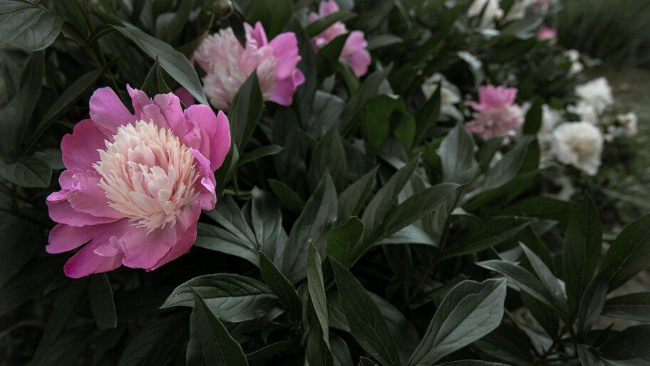 ������ ������� ������� ������� ������� ������