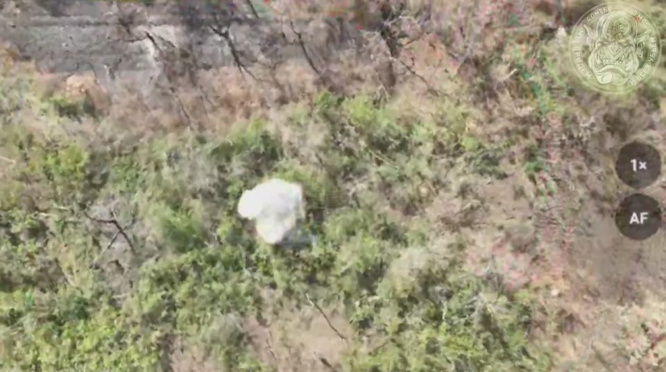 �������������� � ������������ ������� ������