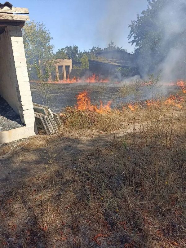Возгорание сухостоя ликвидировано, угроза детскому саду устранена