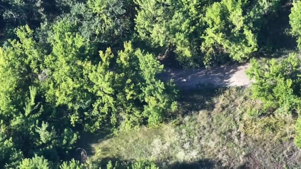 ������ ������� �������� ��� ���� ����� � ������������ ����