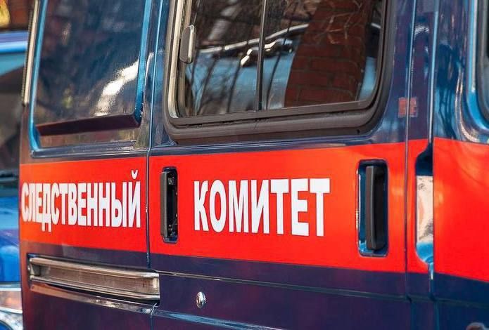 Следователями СК России завершено расследование уголовного дела о публичных призывах к осуществлению деятельности, направленной против безопасности Российской Федерации