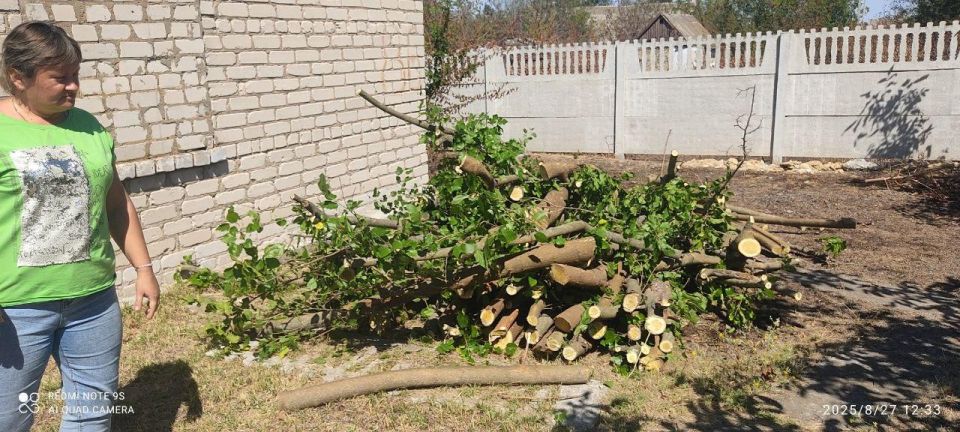 ����������� ������������� ��������� ����� � ���������� ���