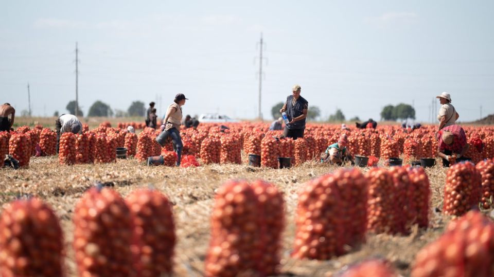 ��� ������� ������ ���� �� ����� ���������� �������