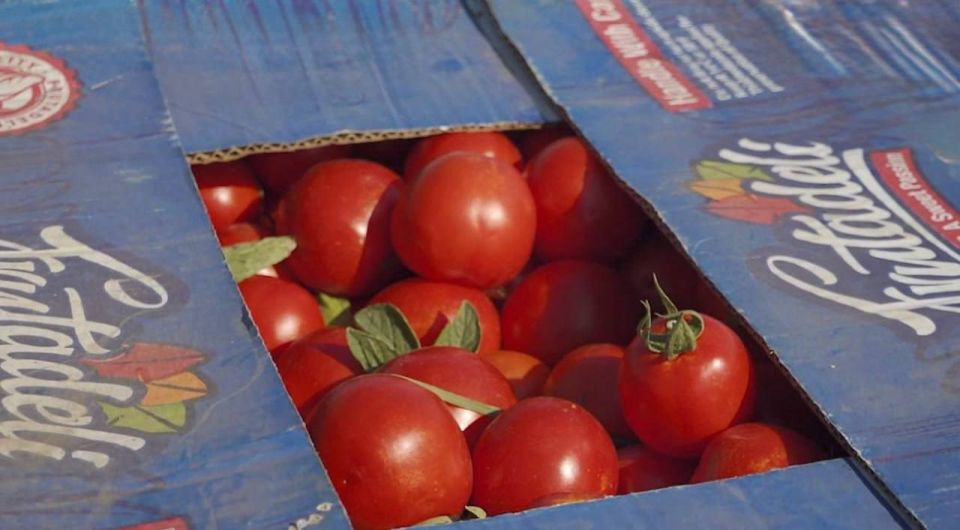 ������� ���������� ������� ���������� ������� ������ ������� ������� ��� ������