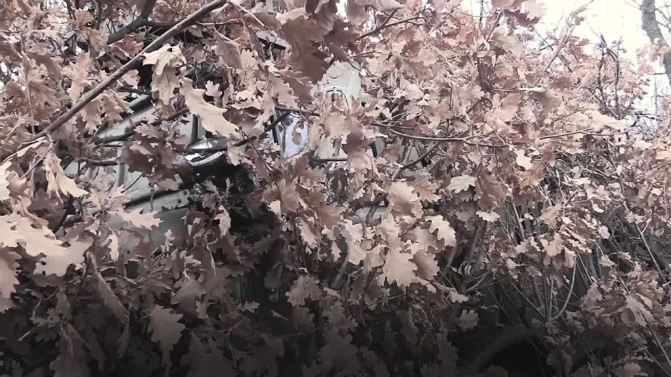 ���������� ��������� � ����� �������� � ��������� � ���� ���������� ������