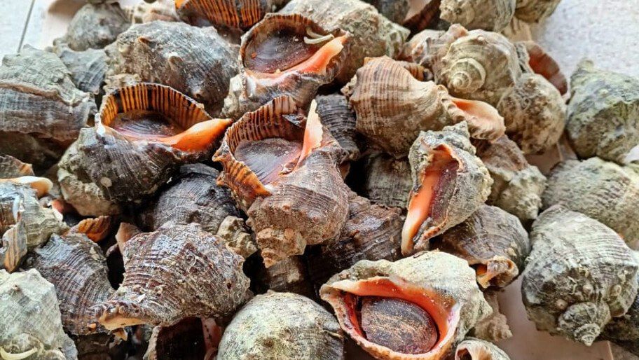 � �������� ����� ��������� ��������� ���������