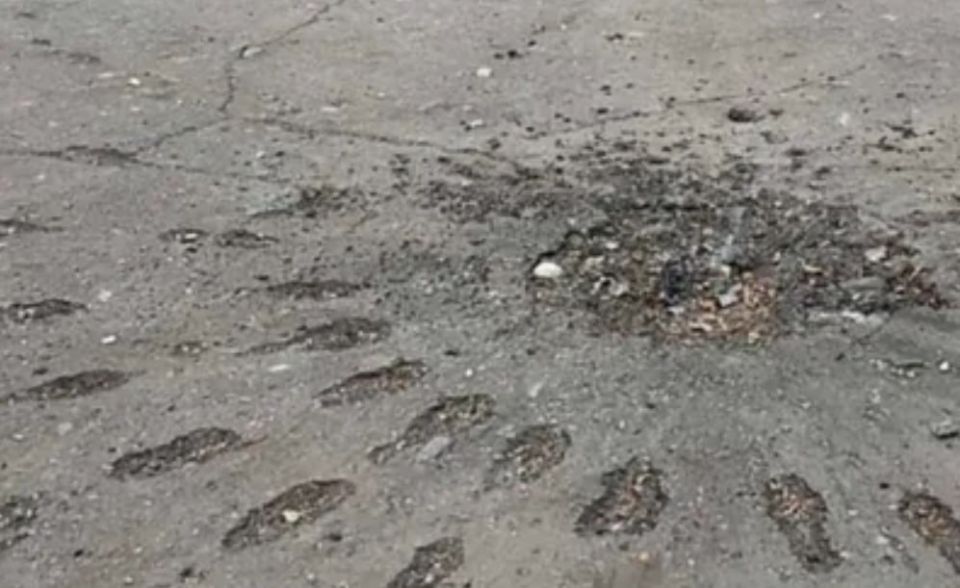 � ���������� ��������������� �������� �� ������� ����������� �� ��� ���������� ������� �������, ������� ���������� ��������������� �������